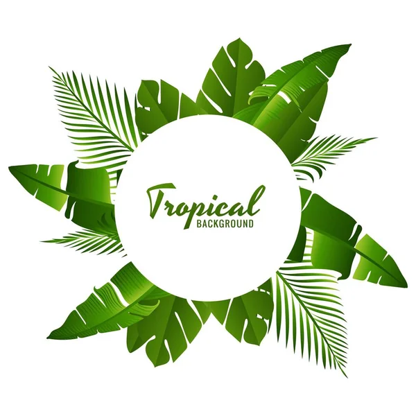 Bello Sfondo Verde Foglie Tropicali — Vettoriale Stock