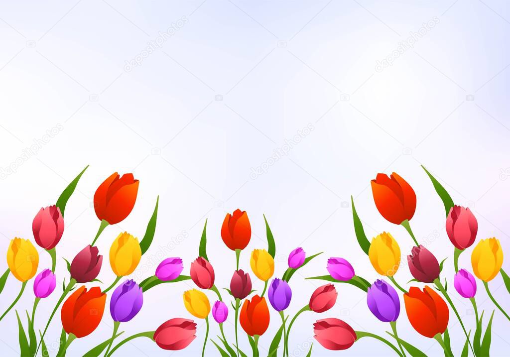 Beautiful composition with colorful tulips growing flowers background