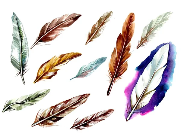 Hand Drawn Feathers Watercolor Set White Background — Stock Vector