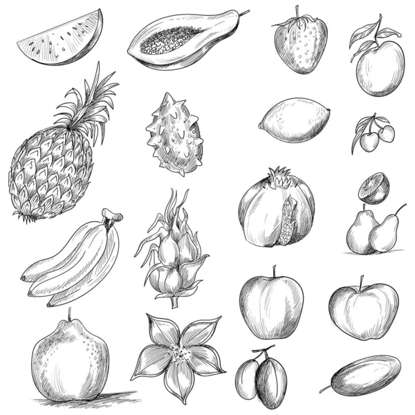 Dessin Main Collection Fruits Croquis Sur Fond Blanc — Image vectorielle