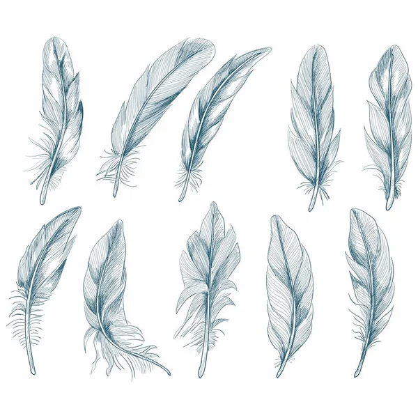 Hand Drawn Feathers Set White Background — Stock Vector