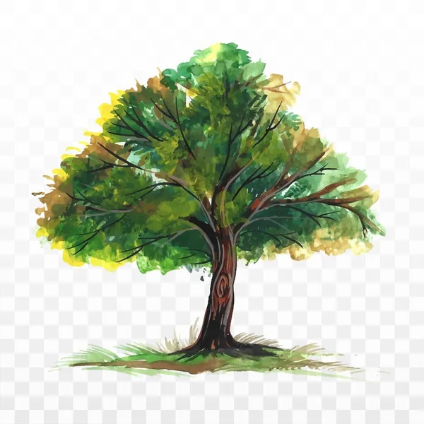 Σχεδίαση Χέρι Φόντο Δέντρο Ακουαρέλα Δάσος — Διανυσματικό Αρχείο