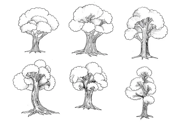 Hand Draw Trees Set Sketch Illustration Design — Stock vektor