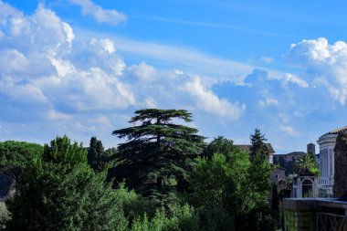 Roma, Lazio, İtalya - 13 Kasım 2021: Roma manzarası.