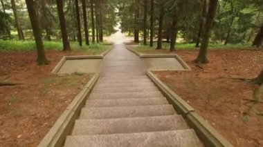 Peterhof Müzesi Rezervi 'nin merdivenlerinden iniyor.