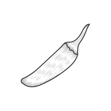 Dövme ve tişört tasarımı için acı biber karalaması.