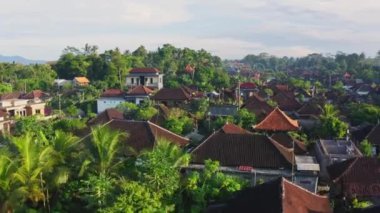 Bali, Ubud 'daki küçük bir köyün 4k hava görüntüsü.