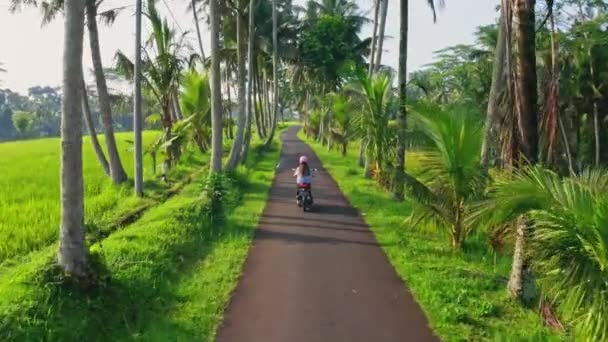 Aerial Video Girl Riding Scooter Palm Trees Street Bali Ubud — Stock Video