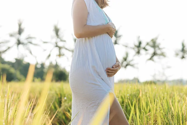 Pregnant Woman Stand Field Green Grass Embrace Her Belly Sunshine Stock Picture