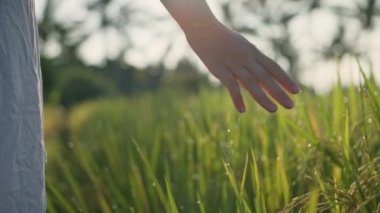 Hamile bir kadın yeşil çimlerle sahaya çıkıyor ve elini çimlerin üzerine koyuyor. Güneş ışığı yaz titreşimleri