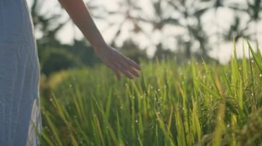 Hamile bir kadın yeşil çimlerle sahaya çıkıyor ve elini çimlerin üzerine koyuyor. Güneş ışığı yaz titreşimleri