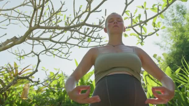 孕妇在家里做瑜伽姿势 背靠花园 抱着肚子 阳光普照的夏夜 — 图库视频影像