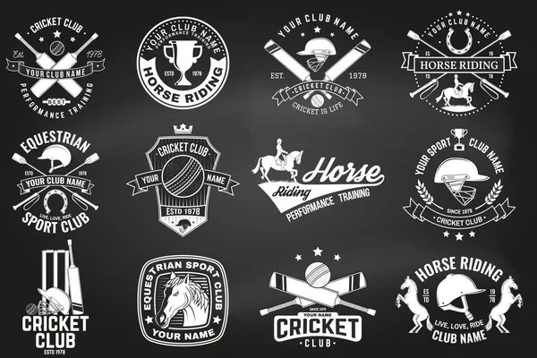 Cricket club seamless pattern or background. Vector. Seamless