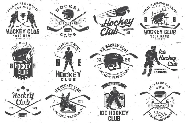 Ice Hockey Club Logo Badge Design Concept Shirt Logo Print —  Vetores de Stock