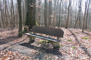 Yedek kulübesinde ağaçlar ilkbahar yürüyüşü Nisan dinlenme günü
