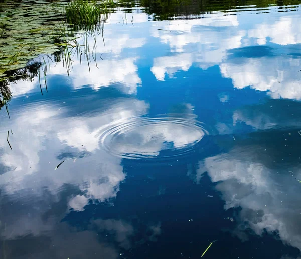 Mavi gökyüzü ve kabarık beyaz bulutlarla dolu bir göldeki bulutların yansımasında tek bir damlanın suyunda bir dalgalanma.