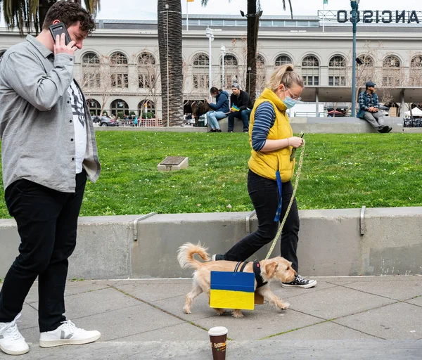İnsanlar San Francisco 'da Rusya' nın Ukrayna 'yı işgaline karşı işaretler, pankartlar, bayraklar ve şarkılarla protesto ediyorlar.