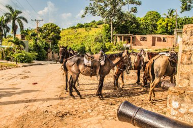 Trinidad, Küba - 15 Temmuz 2018: 18. yüzyılda hala taş kaldırımlı caddeleri olan eski bir İspanyol sömürge kasabası. Ana ulaşım modu zayıf beslenmiş atlar.