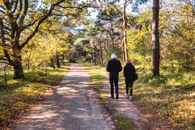Wassenaar, Hollanda - Kasım 06 2020: insanlar şehir yakınlarındaki orman ve kum tepelerinin doğal rezervlerinde yürüyüş yapıyor veya yürüyorlar.