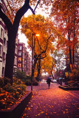 Vancouver, Kanada - 30 Ekim 2009: Şemsiyeli bir yaya gece bir yerleşim bölgesinde kaldırımda yürüyor