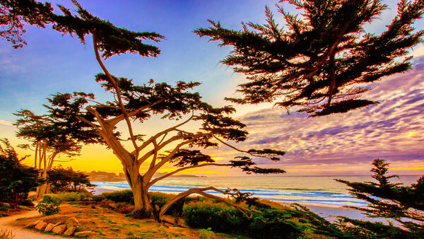 Кармель, США - 19 ноября 2011 года: путь к пляжу с закатом, деревьями и туманом, катящимся над Тихим океаном