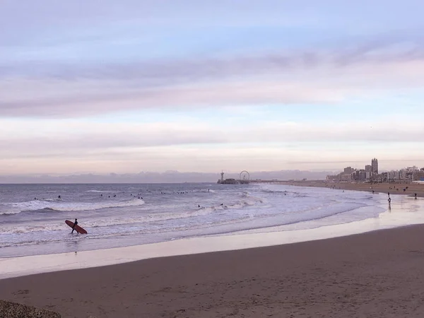 Den Haag Januari 2021 Surfers Het Ijskoude Winterwater Van Noordzee — Stockfoto