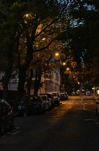2020年9月11日フランス アヌシー近郊のビルや街路灯 神秘的な木々が立ち並ぶ市街地の夜に車が停まる — ストック写真
