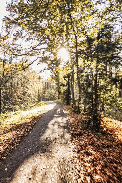 Wassenaar Nizozemsko Listopad 2020 Lidé Jsou Túře Nebo Procházka Přírodní — Stock fotografie