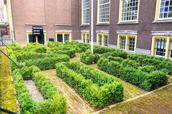 Haya Países Bajos Agosto 2021 Creado Laberinto Setos Jardín Este —  Fotos de Stock