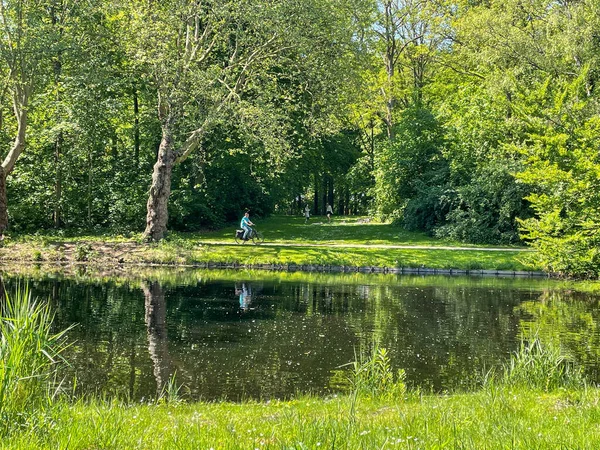 Hague Netherlands June 2021 Person Cycling Bike Pathin City Park — Stock Photo, Image