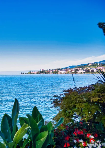 Montreux Suíça Setembro 2020 Cornicho Montreux Tem Belas Flores Plantas — Fotografia de Stock