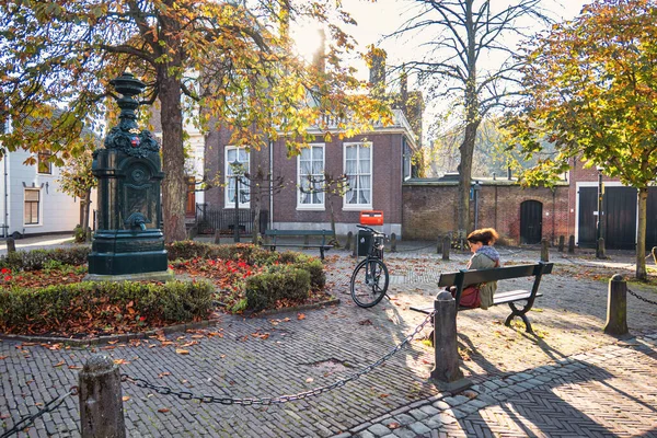 Wassenaar Pays Bas Novembre 2020 Une Vieille Pompe Eau Historique — Photo