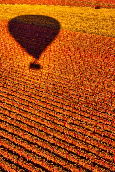 Napa Estados Unidos Fevereiro 2013 Uma Vista Aérea Dos Campos — Fotografia de Stock