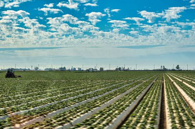 Oxnard, Birleşik Devletler - 21 Şubat 2020: Bir çiftçi tarlayı Oxnard gibi sürmek ve meyve, sebze ve çiçek üretebilmek için bir traktör kullanıyor