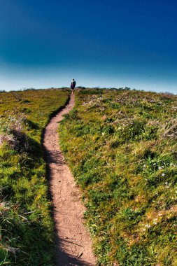 Point Reyes, ABD - 3 Mart 2012: San Andreas kasa hattının Kuzey Amerika plakasından kesildiği gerçekten özel bir yer. Yürüyüş için uygun bir yer, doğa ve balık gözü merceğiyle büyüleyici görünüyor.