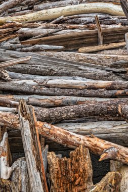 Mendocino, Amerika Birleşik Devletleri - 16 Şubat 2020: Sahilde kıyıya vuran kereste bir barınak ya da kulübe olarak kullanıldı ve yakından görüldü.