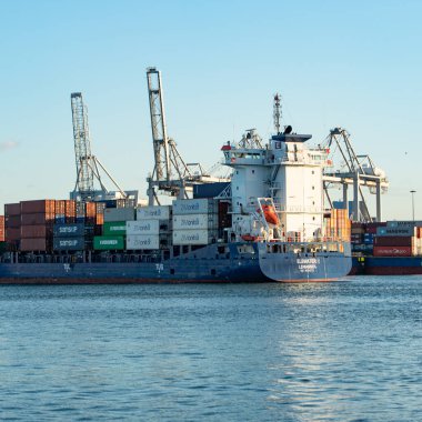 Rotterdam, Hollanda - 22 Kasım 2021: Güverte gemisindeki konteynırları boşaltmak için devasa yarıdan ve tamamen otomatik vinçlerden oluşan hatlar