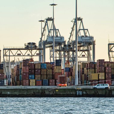 Rotterdam, Hollanda - 22 Kasım 2021: Limandaki bir rıhtımda tamamen otomatik vinç ve konteynırlardan oluşan hatlar