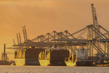 Rotterdam, Hollanda - 22 Kasım 2021: deniz konteynırları gün batımında büyük vinçlerle naklediliyor