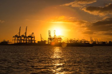 Rotterdam, Hollanda - 22 Kasım 2021: deniz konteynırları büyük vinçlerle nakledildi