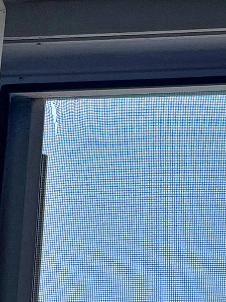 Den Haag, Hollanda - 20 Eylül 2021: onarılmaya hazır bir deliği olan kırık bir sivrisinek ağı