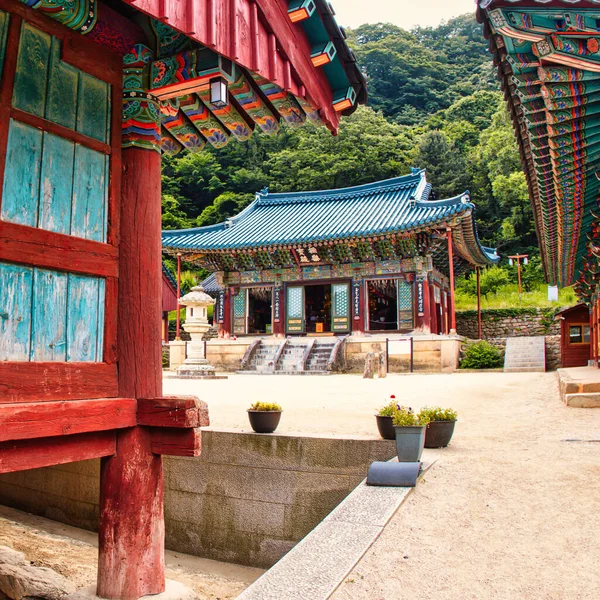Seoraksan Coreia Sul Julho 2015 Madeira Esculpida Detalhes Coloridos Templo — Fotografia de Stock