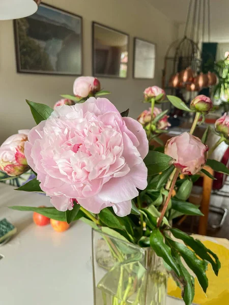 Hague Netherlands July 2021 Bunch Pink Peony Roses Standing Vase — Stock Photo, Image