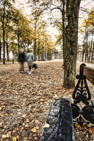 Lahey, Hollanda - 22 Ekim 2020: 