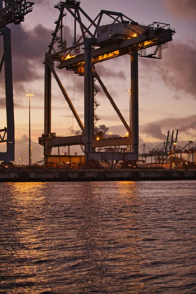 Rotterdam, Hollanda - 22 Kasım 2021: deniz konteynırları büyük vinçlerle nakledildi