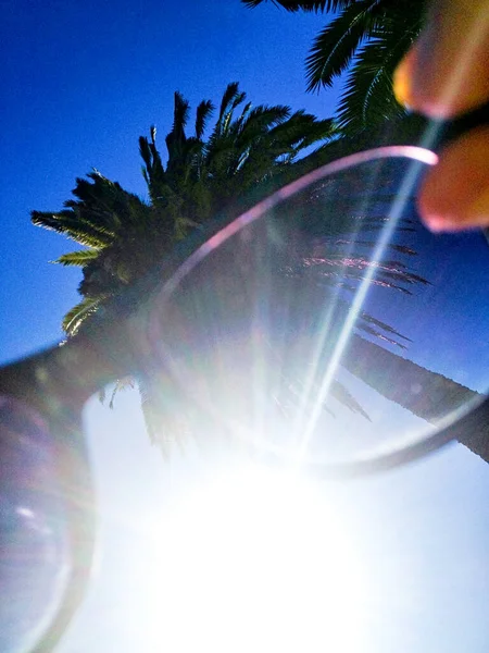Een Zonnebril Wordt Vastgehouden Met Zonnestralen Palmbomen Eromheen — Stockfoto
