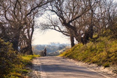 Wassenaar, Hollanda - Kasım 06 2020: eğlence bisikletçileri Lahey yakınlarındaki doğal bir rezervde orman veya bisiklet yolu veya kum tepeleri üzerinde seyahat ediyorlar
