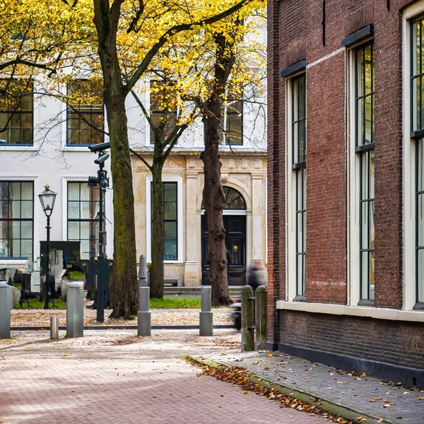 Den Haag Niederlande Oktober 2020 Die Typisch Holländische Ansicht Einer — Stockfoto
