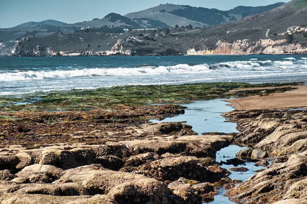 Pismo Beach, ABD - 19 Şubat 2020: Pasifik Okyanusu 'nun bir ekosistemi bu sahilde kayalar, doğa, havuzlar ve çimlerle birlikte görülebilir.