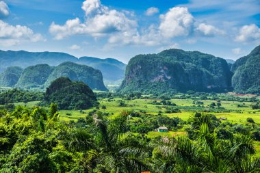 Viales, Küba - 10 Temmuz 2018: Viales Vadisi manzarası. Tropikal ve neredeyse bir yağmur ormanı. Aynı isimde bir milli parkın içinde. Palmiye ağaçları, aşırı gelişmiş tepelerden oluşan etkileyici bir manzara..